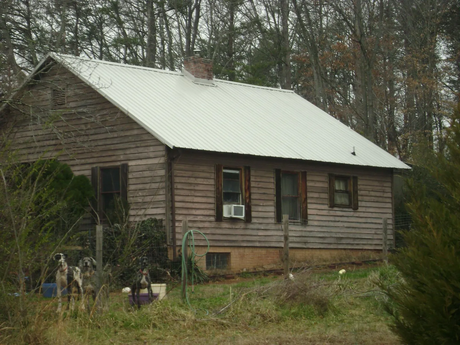 White metal roof on an old wood sided farmhouse, from a Asphalt Shingle Roof Repair job in Campobello